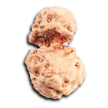 Load image into Gallery viewer, Gaurishanker Rudraksha from Indonesia - 201