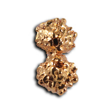 Load image into Gallery viewer, Gaurishanker Rudraksha from Indonesia - 250