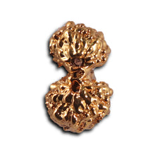 Load image into Gallery viewer, Gaurishanker Rudraksha from Indonesia -252