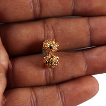 Load image into Gallery viewer, Gaurishanker Rudraksha from Indonesia - 250