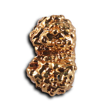 Load image into Gallery viewer, Gaurishanker Rudraksha from Indonesia - 250