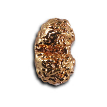 Load image into Gallery viewer, Gaurishanker Rudraksha from Indonesia -253