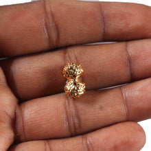 Load image into Gallery viewer, Gaurishanker Rudraksha from Indonesia -254