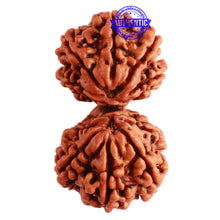 Load image into Gallery viewer, Gaurishanker Nepalese Rudraksha Bead No. - 190