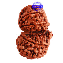 Load image into Gallery viewer, Gaurishanker Nepalese Rudraksha Bead No. - 190