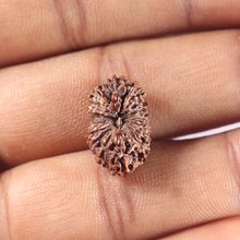 Load image into Gallery viewer, 15 Mukhi Indonesian Rudraksha - Bead No. 129