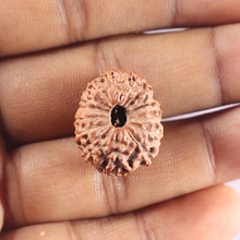 Load image into Gallery viewer, 15 Mukhi Indonesian Rudraksha - Bead No. 136
