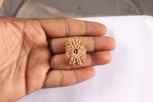 Load image into Gallery viewer, 16 Mukhi Rudraksha from Nepal - Bead No. 129