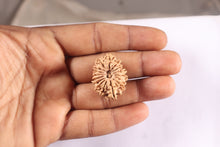 Load image into Gallery viewer, 16 Mukhi Rudraksha from Nepal - Bead No. 130