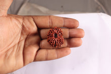 Load image into Gallery viewer, 16 Mukhi Rudraksha from Nepal - Bead No. 53