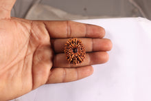 Load image into Gallery viewer, 16 Mukhi Rudraksha from Nepal - Bead No. 55