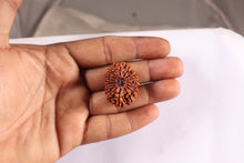 Load image into Gallery viewer, 16 Mukhi Rudraksha from Nepal - Bead No. 56
