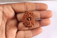 Load image into Gallery viewer, 16 Mukhi Rudraksha from Nepal - Bead No. 98