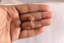 Load image into Gallery viewer, 17 Mukhi Gaurishankar Rudraksha from Indonesia - Bead No. 267