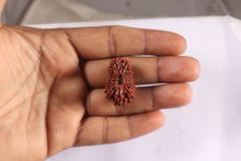 Load image into Gallery viewer, 18 Mukhi Rudraksha from Nepal - Bead No. 62