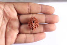 Load image into Gallery viewer, 20 Mukhi Nepalese Rudraksha - Bead No. 10