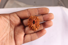 Load image into Gallery viewer, 15 Mukhi Ganesha Rudraksha from Nepal - Bead No. 23