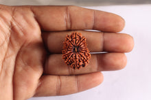 Load image into Gallery viewer, 15 Mukhi Rudraksha from Nepal - Bead No. 42
