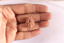 Load image into Gallery viewer, 20 Mukhi Indonesian Rudraksha - Bead 99