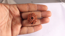 Load image into Gallery viewer, 14 Mukhi Nepalese Rudraksha - Bead No. 154