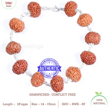 Load image into Gallery viewer, 8 Mukhi Rudraksha Bracelet (Pure silver) - Type 2