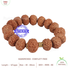 Load image into Gallery viewer, 8 Mukhi Rudraksha Wrist Band - Type 2