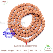 Load image into Gallery viewer, 11 mukhi Rudraksha Mala - Indonesian (108 + 1 beads) - 1