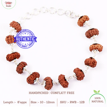 Load image into Gallery viewer, 12 Mukhi Indonesian Rudraksha Bracelet (Pure Silver)