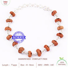 Load image into Gallery viewer, 14 Mukhi Indonesian Rudraksha Bracelet (Pure Silver)