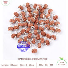 Load image into Gallery viewer, 5 Mukhi Chikna Chapta Rudraksha Mala - 54+1 (Pure Silver)
