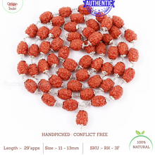 Load image into Gallery viewer, 3 Mukhi Agni Rudraksha Mala - 1 (54+1) (Pure Silver)