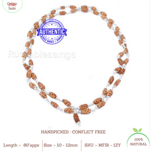 Load image into Gallery viewer, 1 Mukhi Indonesian Mala (108+1 beads) - Pure Silver