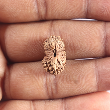 Load image into Gallery viewer, 18 Mukhi Rudraksha from Indonesia - Bead No. 102