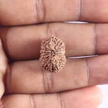 Load image into Gallery viewer, 18 Mukhi Rudraksha from Indonesia - Bead No. 89