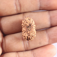 Load image into Gallery viewer, 18 Mukhi Rudraksha from Indonesia - Bead No. 87
