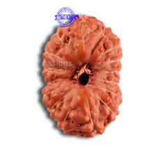 Load image into Gallery viewer, 16 Mukhi Rudraksha from Indonesia - Bead No. 209