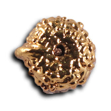 Load image into Gallery viewer, Indonesian Ganesh Goldplating Rudraksha - Bead No. 2