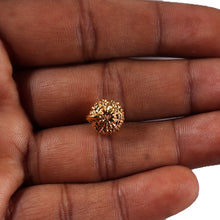 Load image into Gallery viewer, Indonesian Ganesh Goldplating Rudraksha - Bead No. 2