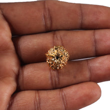 Load image into Gallery viewer, Indonesian Ganesh Goldplating Rudraksha - Bead No. 3
