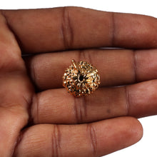 Load image into Gallery viewer, Indonesian Ganesh Goldplating Rudraksha - Bead No. 1