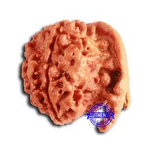 Load image into Gallery viewer, Nepalese Ganesh Rudraksha - Bead No. 202