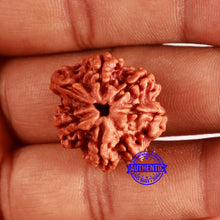 Load image into Gallery viewer, Nepalese Ganesh Rudraksha - Bead No. 223