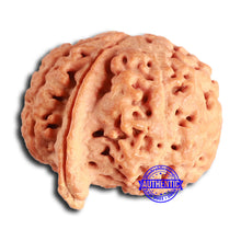 Load image into Gallery viewer, Nepalese Ganesh Rudraksha - Bead No. 263