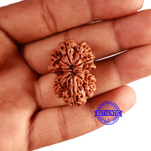 Load image into Gallery viewer, Gaurishanker Nepalese Rudraksha Bead No. - 285