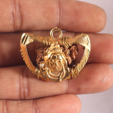 Load image into Gallery viewer, 1 Mukhi half moon shaped from India - Bead No. 264