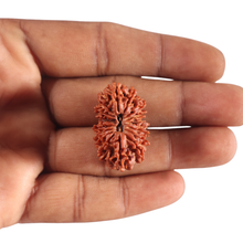 Load image into Gallery viewer, 17 Mukhi Nepalese Rudraksha - Bead No. 70