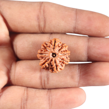 Load image into Gallery viewer, 8 Mukhi Nepalese Rudraksha - Bead No.428