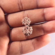 Load image into Gallery viewer, 20 Mukhi Indonesian Gaurishankar Rudraksha - Bead 77