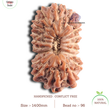 Load image into Gallery viewer, 18 Mukhi Rudraksha from Indonesia - Bead No. 96