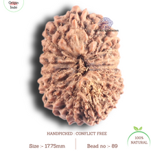 Load image into Gallery viewer, 18 Mukhi Rudraksha from Indonesia - Bead No. 89